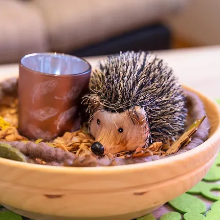 Apartment Haus Rieder *